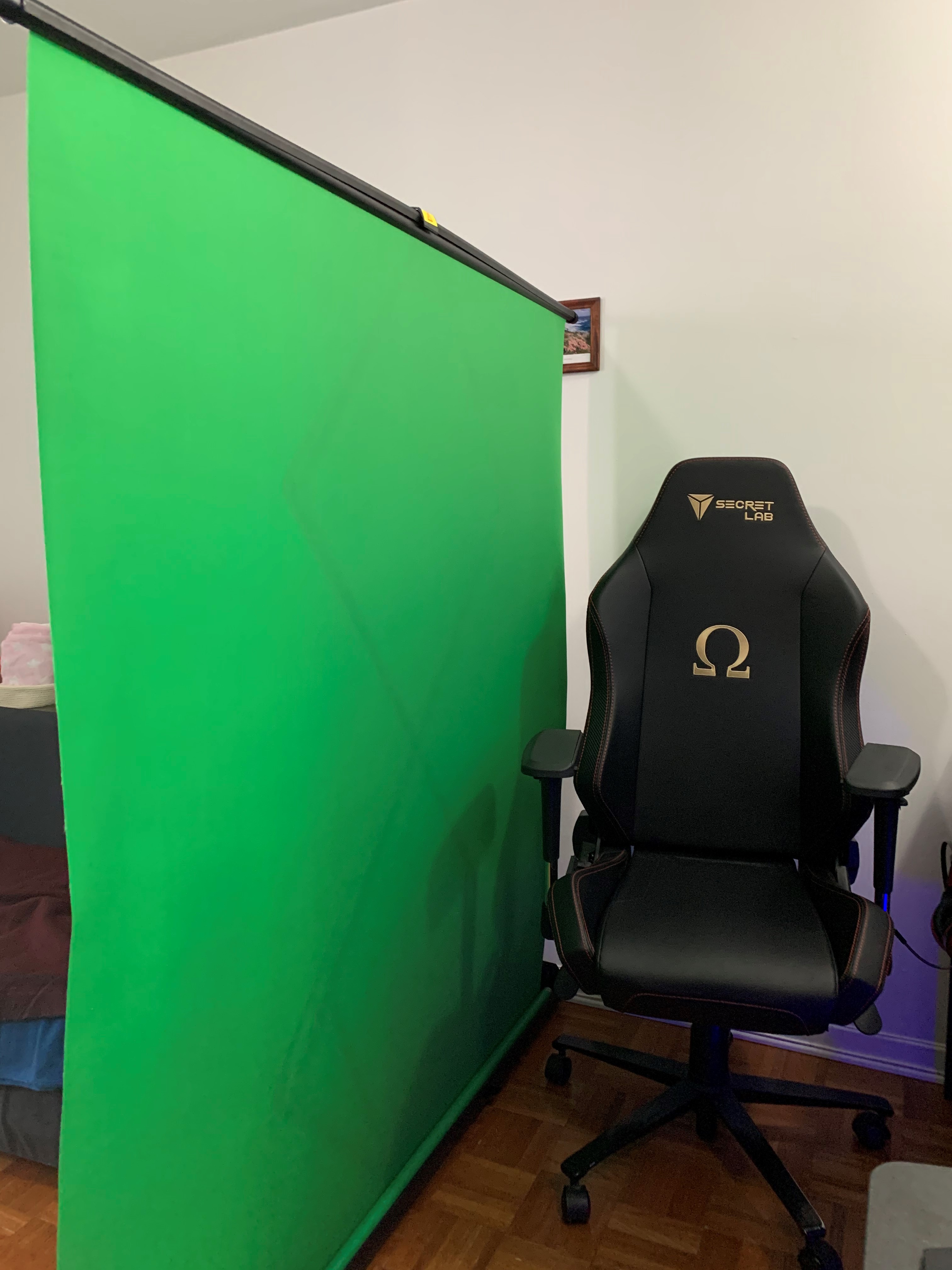Collapsible green screen